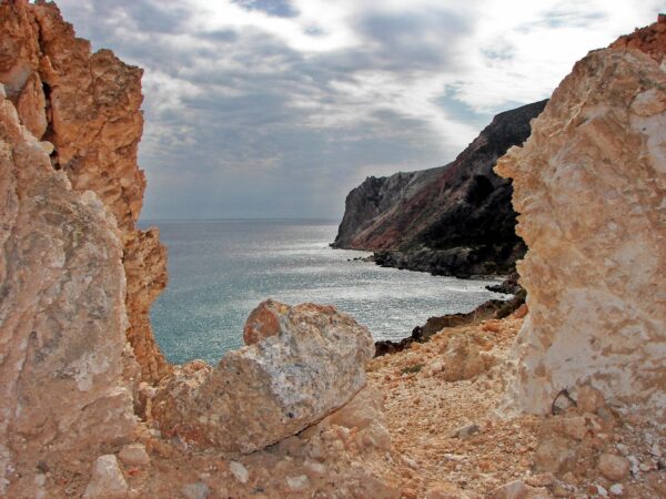 L’isola della rana muta